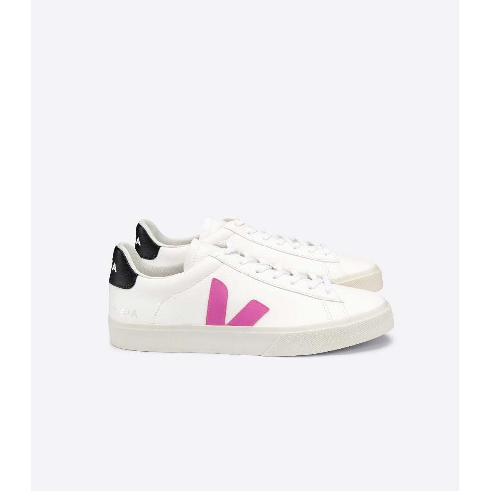 Low Tops Sneakers Dama Veja CAMPO CHROMEFREE White/Purple | RO 597FDN